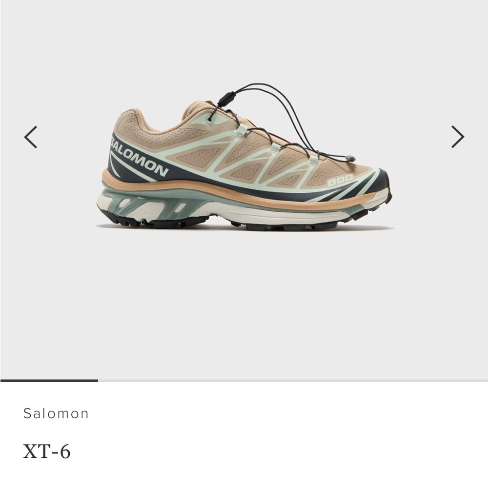 Salomon XT-6 (OXFORD TAN / CARBON / CLEARLY AQUA)